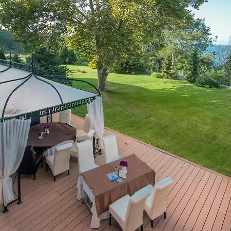 Dodo (adults Only) 4*