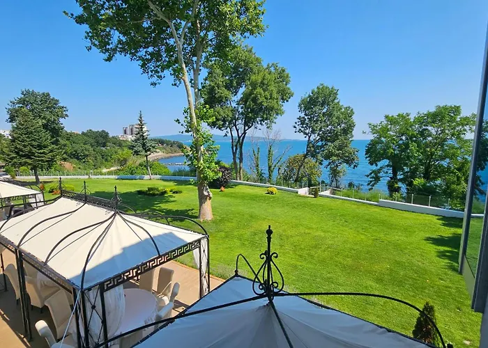 Dodo (adults Only) 4*