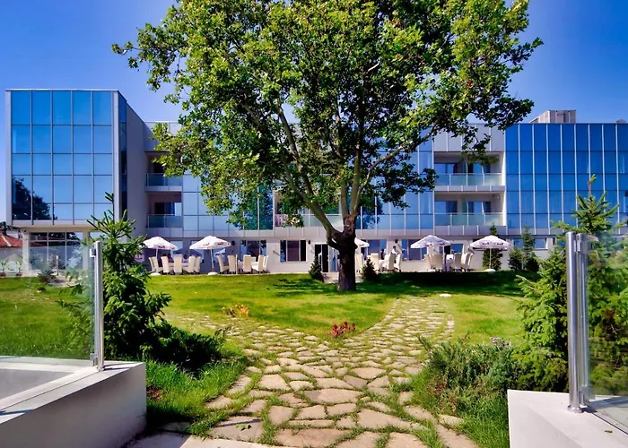 Dodo (adults Only) Китен